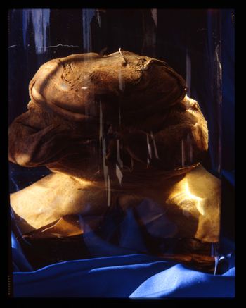 Media type: image;   Herpetology A-15740 Description: from photo sessions for Rarest of the Rare but not published in the book;
